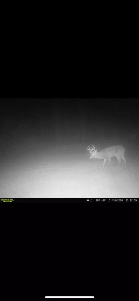 72 Summers Magee, Kokomo, MS 39643 photo 30