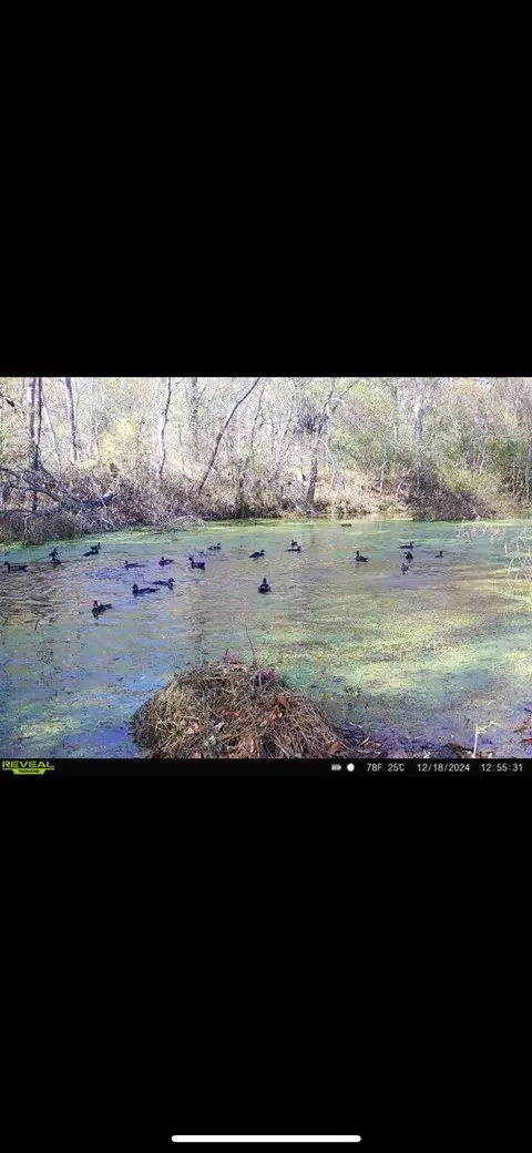 72 Summers Magee, Kokomo, MS 39643 photo 27
