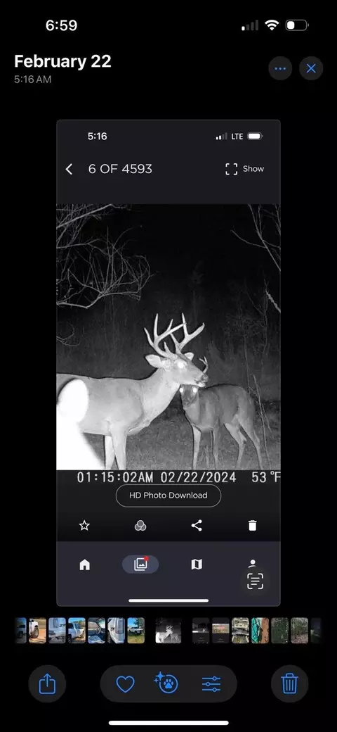 72 Summers Magee, Kokomo, MS 39643 photo 26