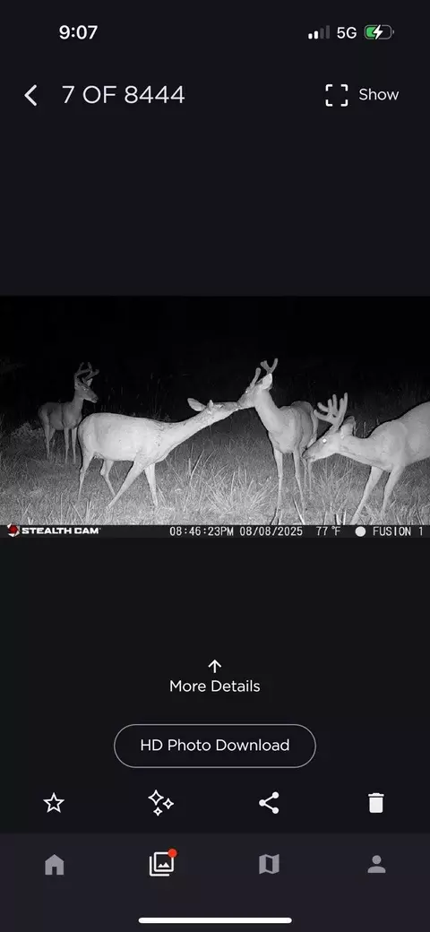 72 Summers Magee, Kokomo, MS 39643 photo 29