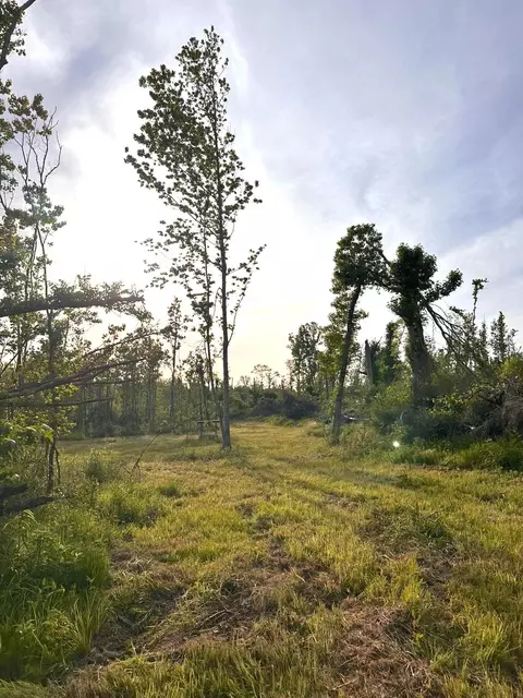 72 Summers Magee, Kokomo, MS 39643 photo 32