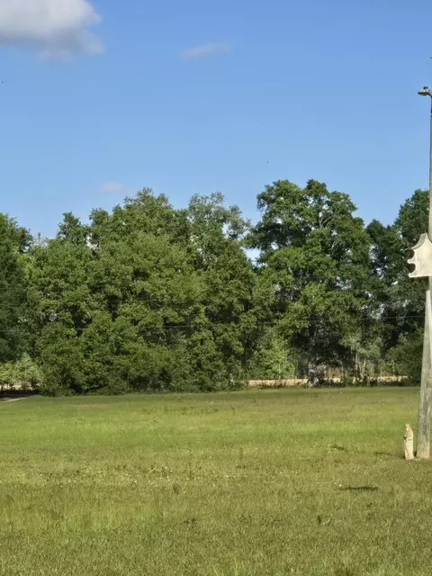 00 Werner Rd, Picayune, MS 39466 photo 12