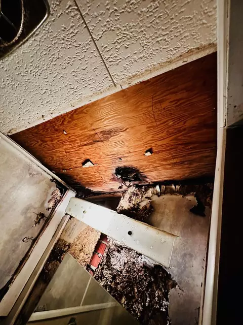Bath - 55 Oak Crest Dr, Laurel, MS 39440 photo 7 of 7