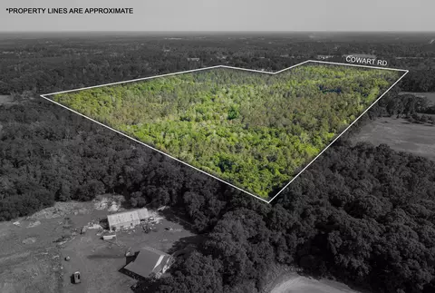 74 Ac Cowart Rd, Lucedale, MS 39452