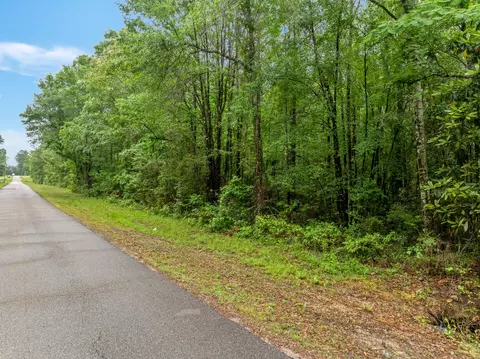 30 Mol Ac Conway Rd, Petal, MS 39465 photo 6