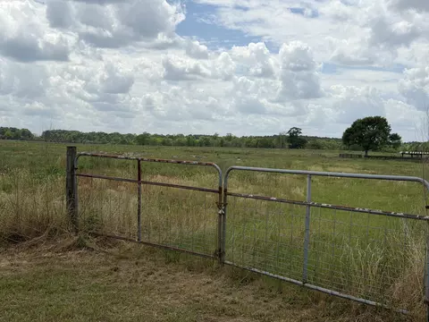 12 Acres Good Hill Rd, Lumberton, MS 39455