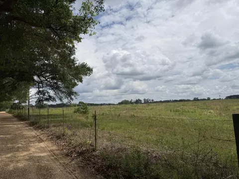17 Acres Good Hill Rd, Lumberton, MS 39455