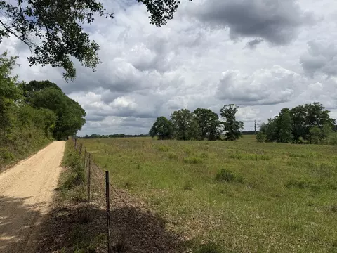 18 Acres Good Hl, Lumberton, MS 39455