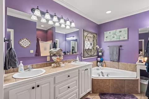 Bath - 165 Latigo Loop, Sumrall, MS 39482 photo 1 of 4