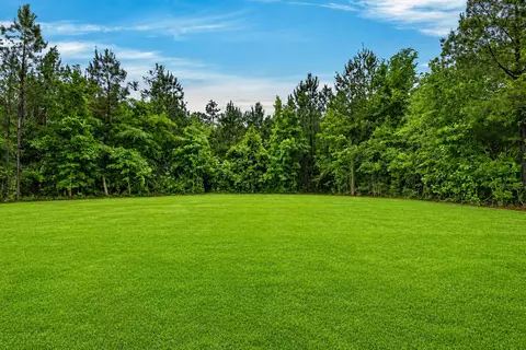 49 Whistlestop, Sumrall, MS 39482 photo 61