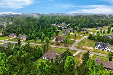 49 Whistlestop, Sumrall, MS 39482 photo 66