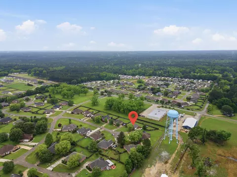 View/Area - 22 Harper Pl, Petal, MS 39465 photo 5 of 6