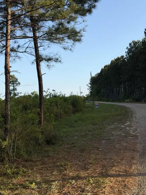14 6 Acres Hwy 48 E, Sandy Hook, MS 39478 photo 3