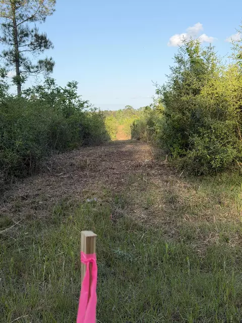 14 6 Acres Hwy 48 E, Sandy Hook, MS 39478