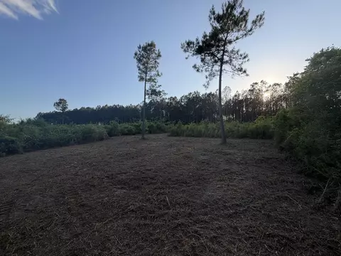 14 6 Acres Hwy 48 E, Sandy Hook, MS 39478 photo 2