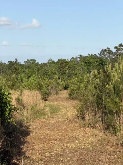 5 Acres Mt Bethel Rd, Sandy Hook, MS 39478