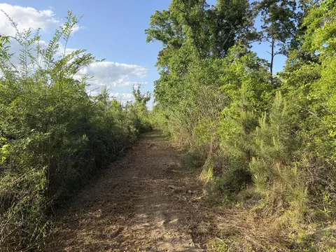 8 Acres Hwy 48 E, Sandy Hook, MS 39478 photo 5
