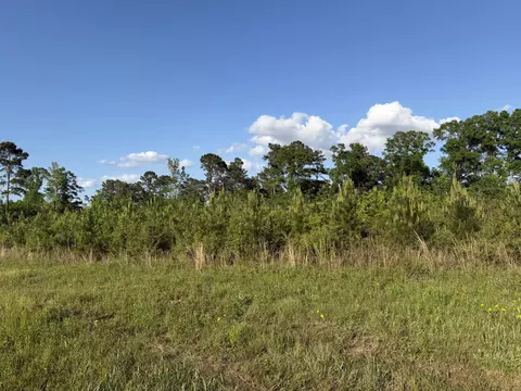8 Acres Hwy 48 E, Sandy Hook, MS 39478 photo 2