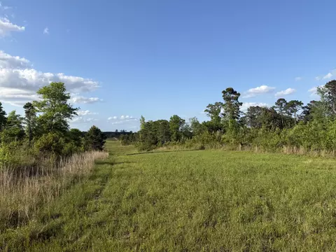 8 Acres Hwy 48 E, Sandy Hook, MS 39478
