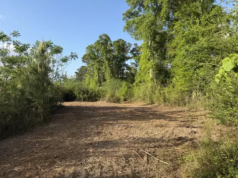 8 Acres Hwy 48 E, Sandy Hook, MS 39478 photo 3