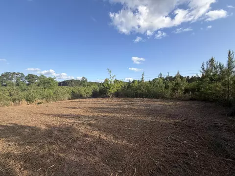 9 Acres Hwy 48 E, Sandy Hook, MS 39478 photo 2