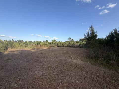 9 Acres Hwy 48 E, Sandy Hook, MS 39478