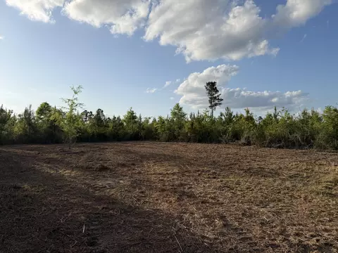 9 Acres Hwy 48 E, Sandy Hook, MS 39478 photo 3