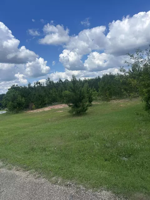 52 Joe Traylor Rd, Hattiesburg, MS 39402