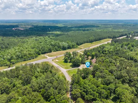 View/Area - 73 Pine Crest Rd, Purvis, MS 39475 photo 4 of 5