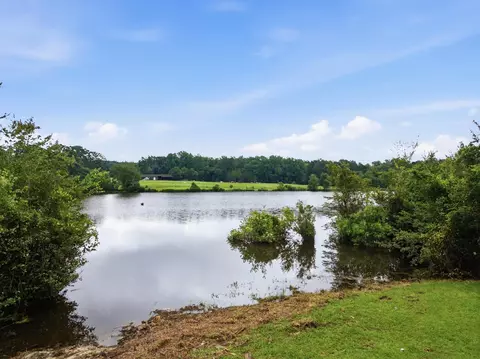 View/Area - 24 Henrys Pl, Purvis, MS 39475 photo 3 of 8