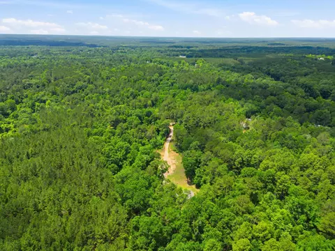 218 John Evans Rd, Petal, MS 39465 photo 42