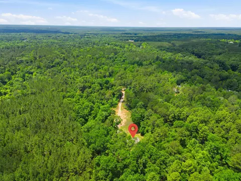 218 John Evans Rd, Petal, MS 39465 photo 43