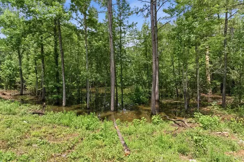 218 John Evans Rd, Petal, MS 39465 photo 35