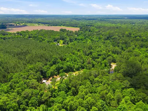 218 John Evans Rd, Petal, MS 39465 photo 44