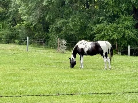 Other - 159 Taylor Rd, Kokomo, MS 39643 photo 6 of 14