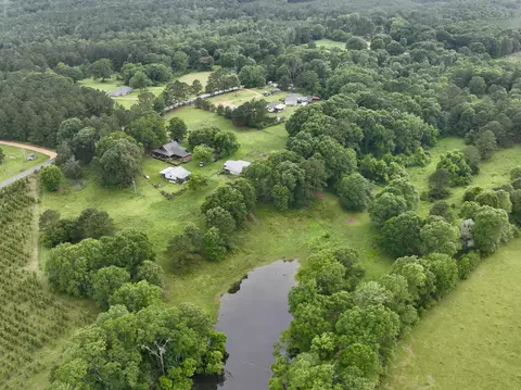 View/Area - 159 Taylor Rd, Kokomo, MS 39643 photo 4 of 10