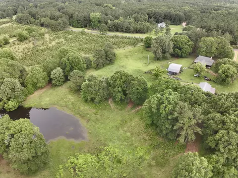 View/Area - 159 Taylor Rd, Kokomo, MS 39643 photo 7 of 10