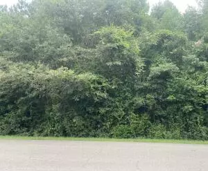 6 69 Acres Leeville Rd, Petal, MS 39465