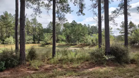 Nhn Ms-13, Lumberton, MS 39455