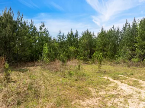 22 4- Willow Dr, Richton, MS 39476 photo 3