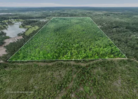 80 Acres Blue Wood Dr, Vancleave, MS 39565