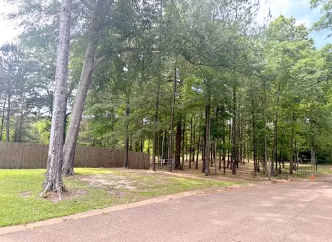 Other - 502 SE Pinewood Dr, Magee, MS 39111 photo 7 of 8