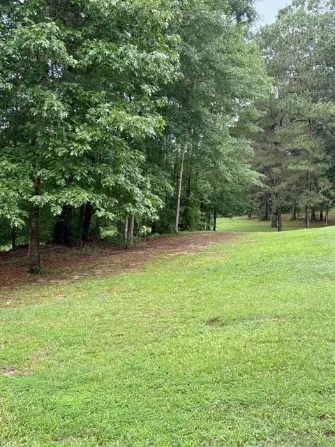 Exterior - 502 SE Pinewood Dr, Magee, MS 39111 photo 7 of 10