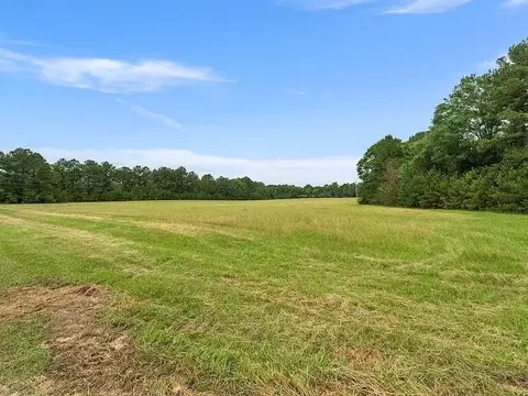 10 66 Acre Hwy 13, Lumberton, MS 39455