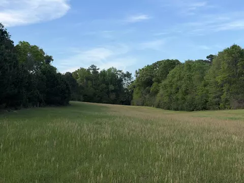 29 47 Acre Highway 13, Lumberton, MS 39455