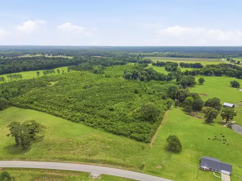 lot4 00 Ms Highway 29, Ovett, MS 39464