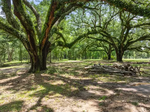 72 F Z Goss, Picayune, MS 39466