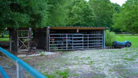 Exterior - 132 Horse Rnch # B, Lucedale, MS 39452 photo 9 of 11