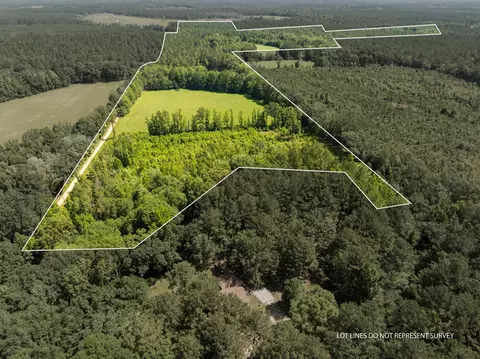 00 Ab Jordan Dr, Richton, MS 39476