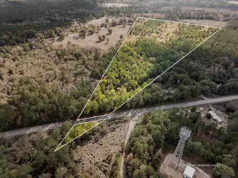 000 Hwy 11, Moselle, MS 39459